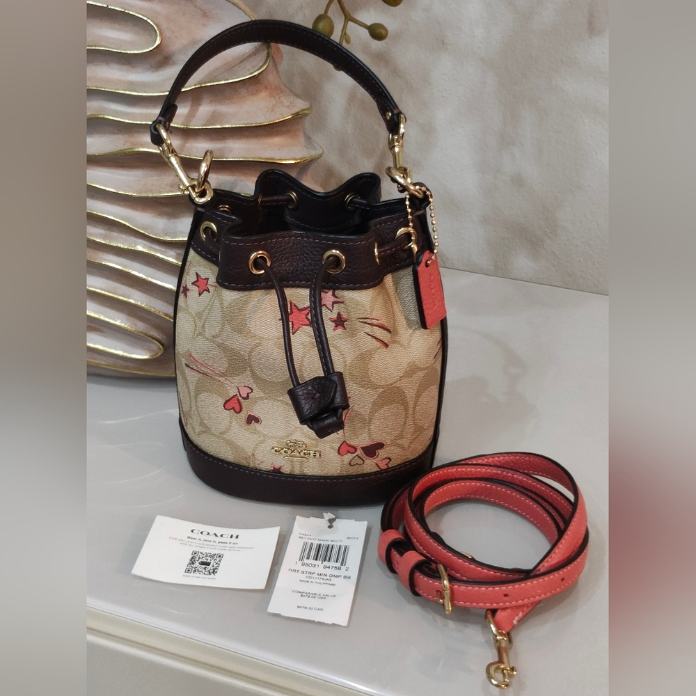 Coach Tan and Brown Women's Bag